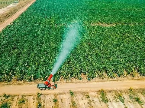 HAGL Agrico bất ngờ không còn bán hàng dưới giá vốn sau khi cổ đông “truy vấn”, quý 1/2025 lỗ thêm 84 tỷ, lỗ luỹ kế gần 9.500 tỷ đồng