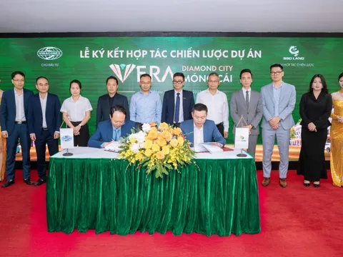 SGO Land - Tổng đại lý phân phối độc quyền Vera Diamond City của Vinaconex