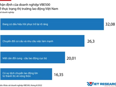 Thị trường lao động Việt Nam: Góc nhìn từ các doanh nghiệp VBE500